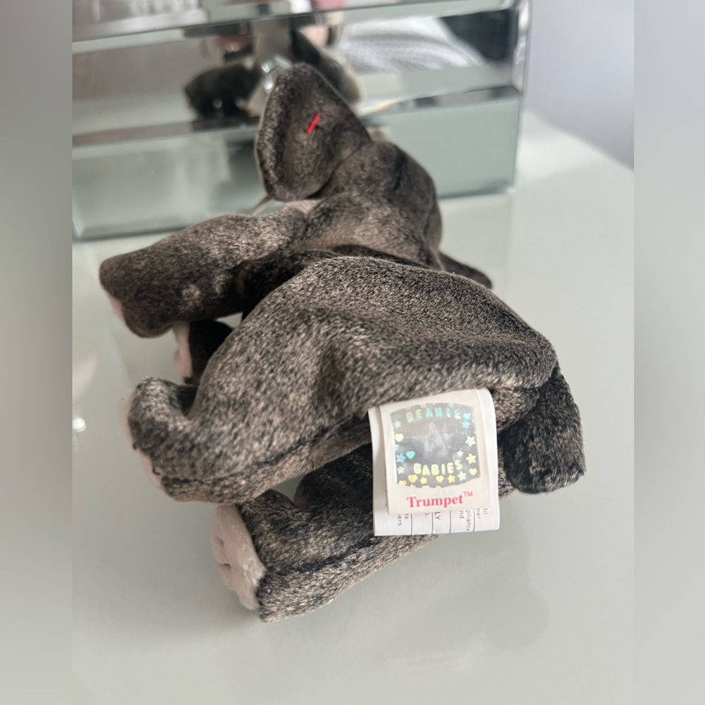 Ty Trumpet the elephant - Picture 3 of 3